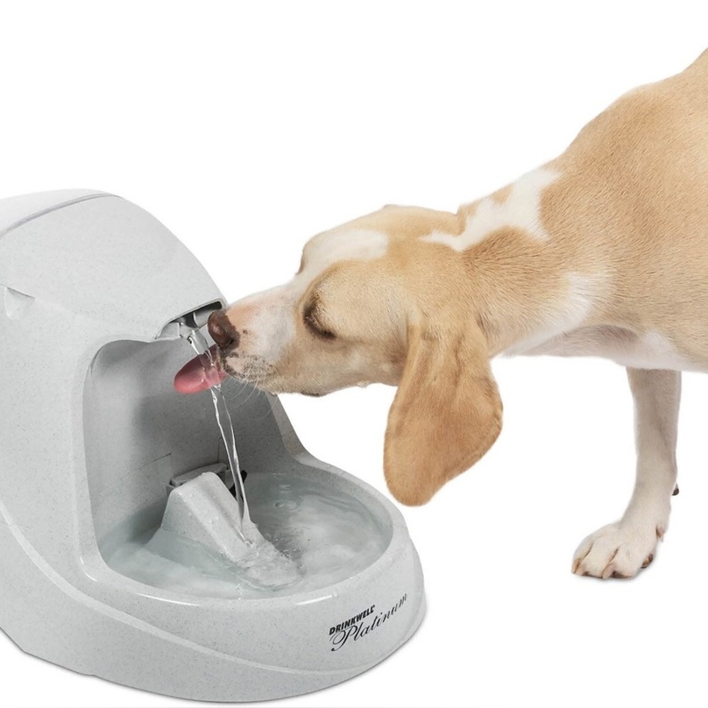 Drinkwell Platinum Pet dog cat water fountain Fountain